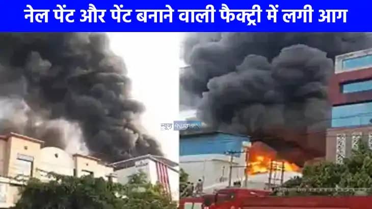 Noida Chemical Factory Fire: नोएडा सेक्टर-2 की केमिकल फैक्ट् Noida Chemical Factory Fire: नोएडा सेक्टर-2 की केमिकल फैक्ट्