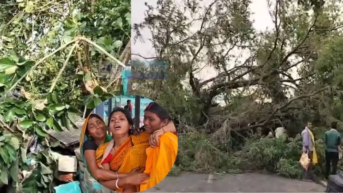 Bihar Storm Havoc 7 Dead Trees Fall Blackout in Bhagalpur Bihar Storm Havoc 7 Dead Trees Fall Blackout in Bhagalpur