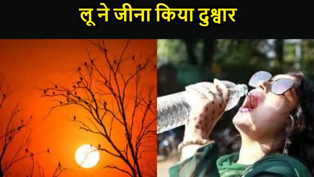 बिहार में सूरज बरसा रहा है आग, तीखी धूप और लू ने जीना किया द बिहार में सूरज बरसा रहा है आग, तीखी धूप और लू ने जीना किया द