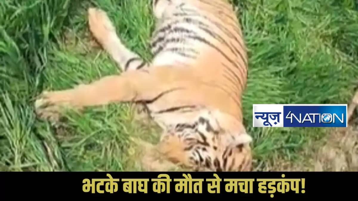Valmiki Tiger Reserve Valmiki Tiger Reserve