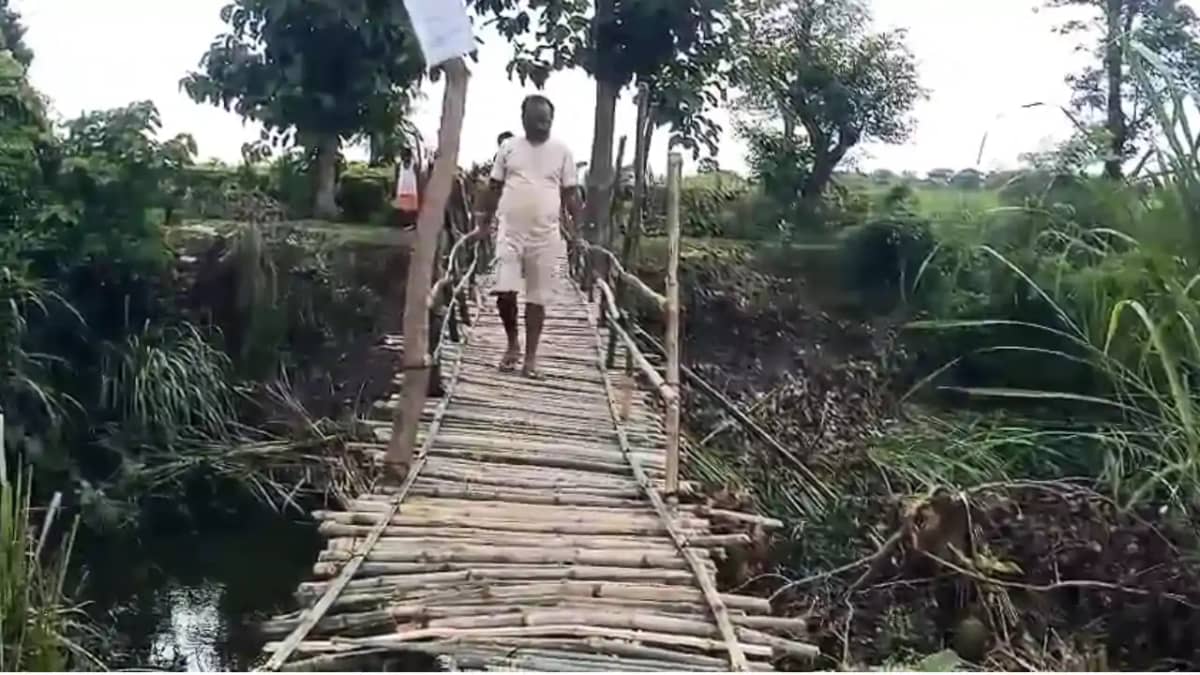 Bihar News : बेतिया में मगरमच्छों के आतंक के बीच ग्रामीणों न Bihar News : बेतिया में मगरमच्छों के आतंक के बीच ग्रामीणों न