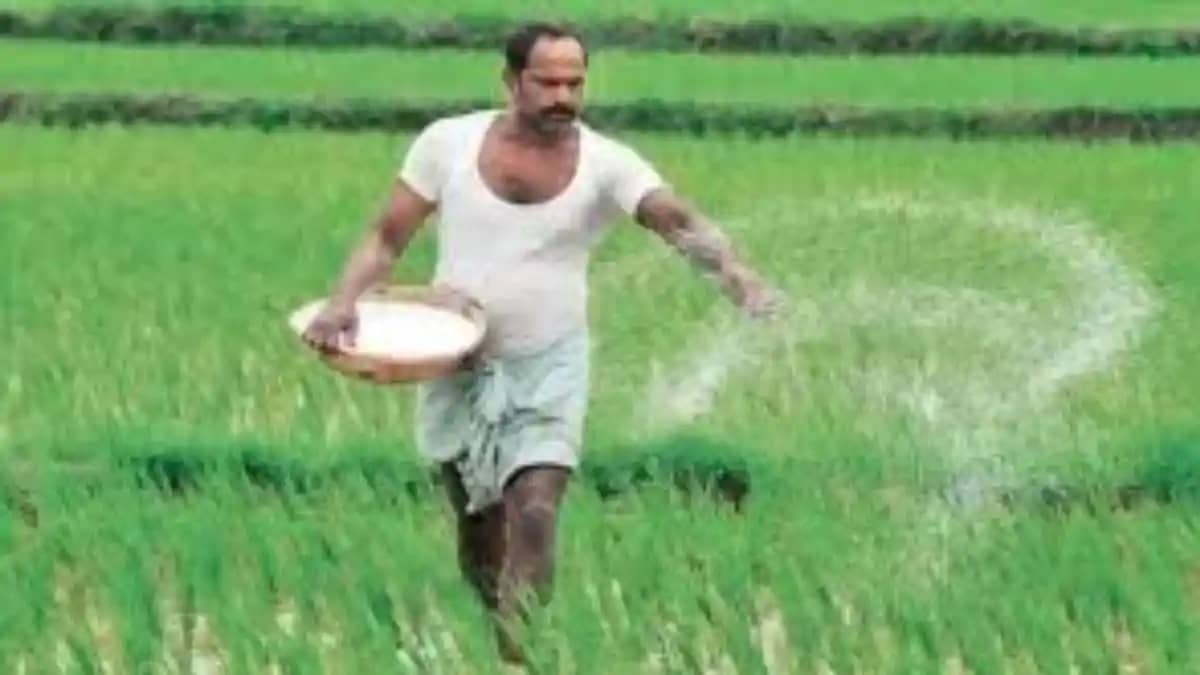 Sowing Hit by Hormuz Crisis Urea Supply Fears Rise in India Sowing Hit by Hormuz Crisis Urea Supply Fears Rise in India