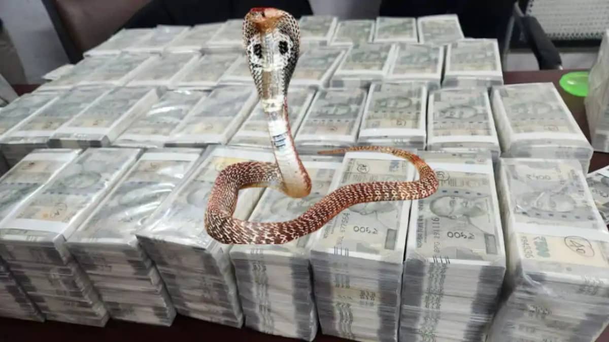 Snakebite Scam - सर्पदंश से अधिकारियों ने 47 लोगों को 279 बा Snakebite Scam - सर्पदंश से अधिकारियों ने 47 लोगों को 279 बा