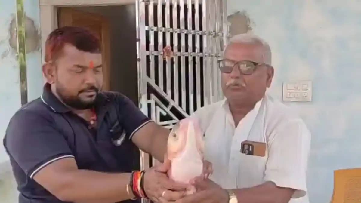 मोतिहारी में कुदरत का करिश्मा: तालाब में मिली रहस्यमयी चार आ मोतिहारी में कुदरत का करिश्मा: तालाब में मिली रहस्यमयी चार आ