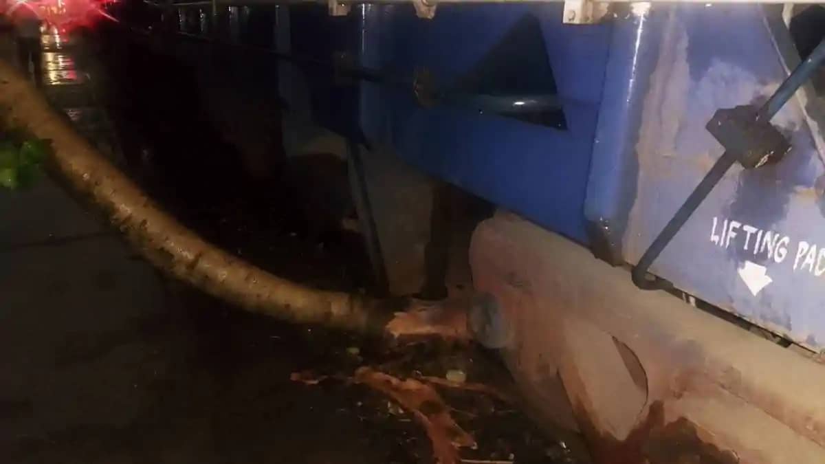 बिहार में कुदरत का कहर: रघुनाथपुर स्टेशन के पास ट्रैक पर गिर बिहार में कुदरत का कहर: रघुनाथपुर स्टेशन के पास ट्रैक पर गिर