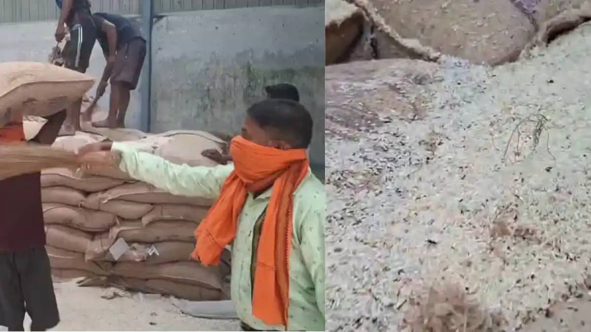 बिहार में गरीबों के निवाले पर बड़ा सवाल: वैशाली और बेलसर के बिहार में गरीबों के निवाले पर बड़ा सवाल: वैशाली और बेलसर के