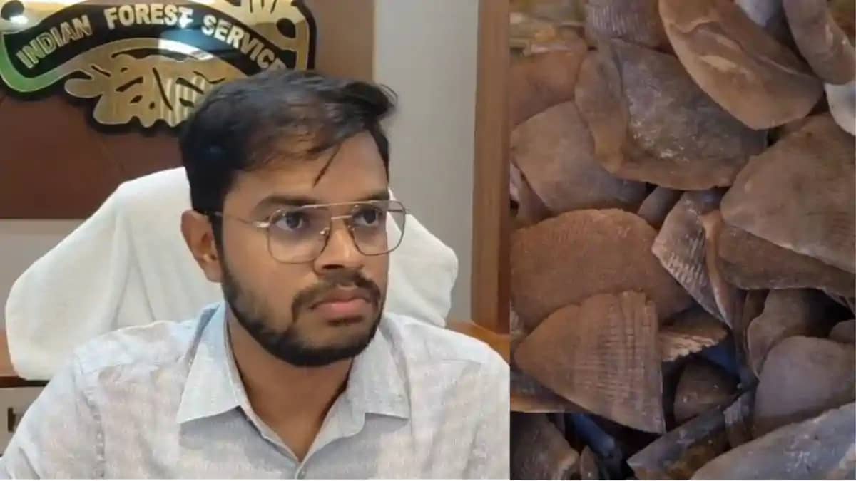 वन विभाग और WCCB की बड़ी कार्रवाई : वन्यजीव अंगों की तस्करी वन विभाग और WCCB की बड़ी कार्रवाई : वन्यजीव अंगों की तस्करी