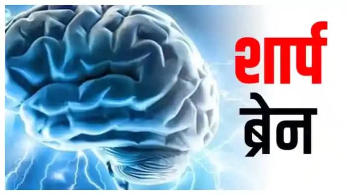 Brain Brain