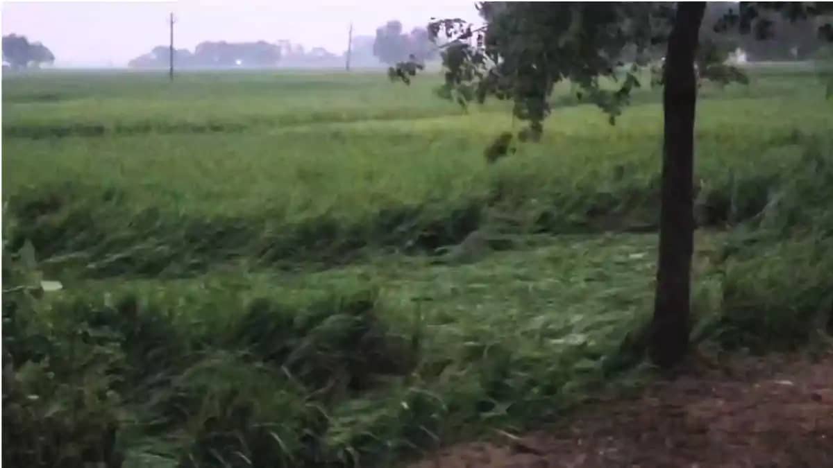 औरंगाबाद में ‘अरनव तूफान’ का कहर: 48 घंटे की लगातार बारिश से औरंगाबाद में ‘अरनव तूफान’ का कहर: 48 घंटे की लगातार बारिश से