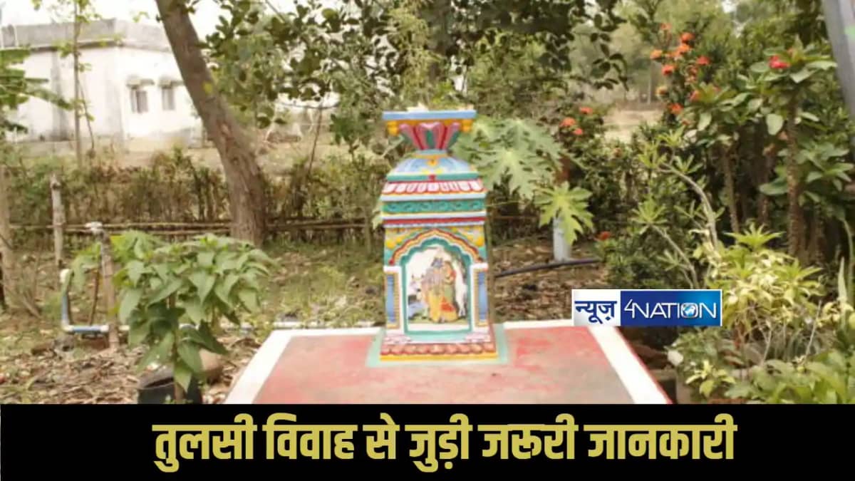 Tulsi Vivah Tulsi Vivah