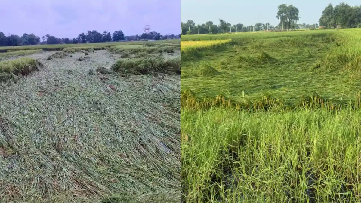 Bihar Cyclonic storm Bihar Cyclonic storm