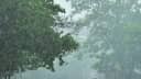 Bihar Weather Bihar Weather