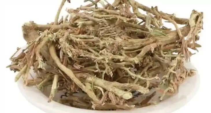 खुरंड घास खुरंड घास