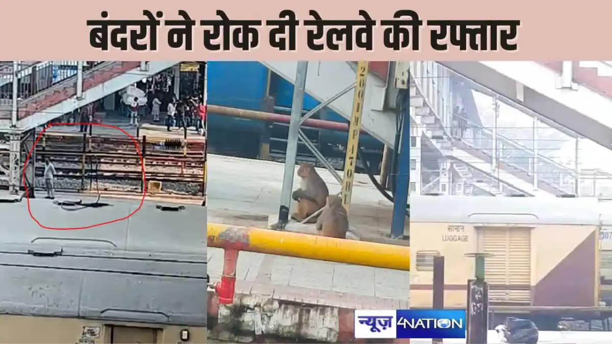 BIHAR NEWS -बंदरों ने किया कुछ ऐसा कि बिहार के इस स्टेशन पर BIHAR NEWS -बंदरों ने किया कुछ ऐसा कि बिहार के इस स्टेशन पर