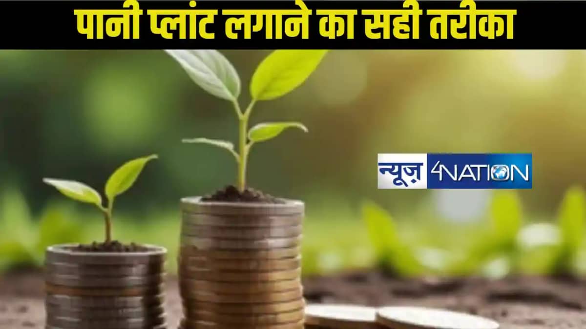 मनी प्लांट चुराकर लगाना शुभ है या अशुभ? जानें वास्तु शास्त्र मनी प्लांट चुराकर लगाना शुभ है या अशुभ? जानें वास्तु शास्त्र