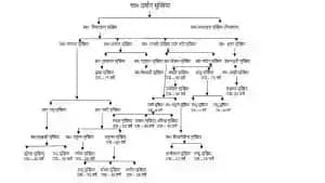 Bihar Land Survey: बहन और बुआ का नाम वंशावली में देना क्यों Bihar Land Survey: बहन और बुआ का नाम वंशावली में देना क्यों